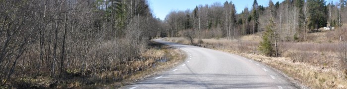 Road 2029 “Öresjö”