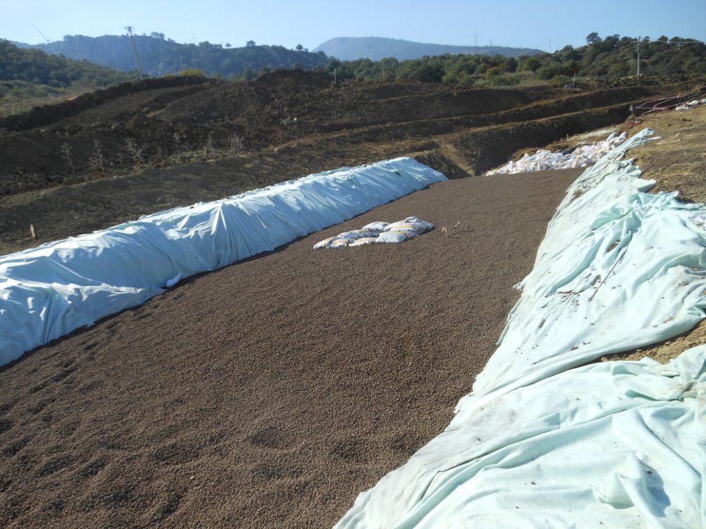 project details image