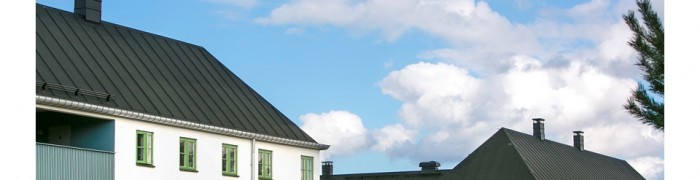 Skanörs Vångar, Skanör