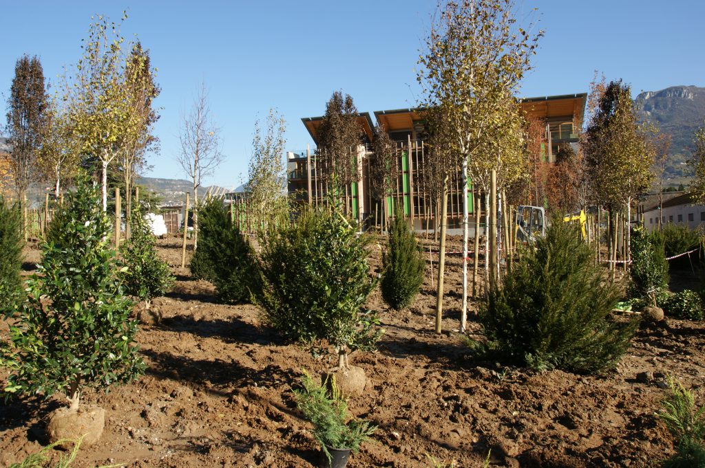 project details image