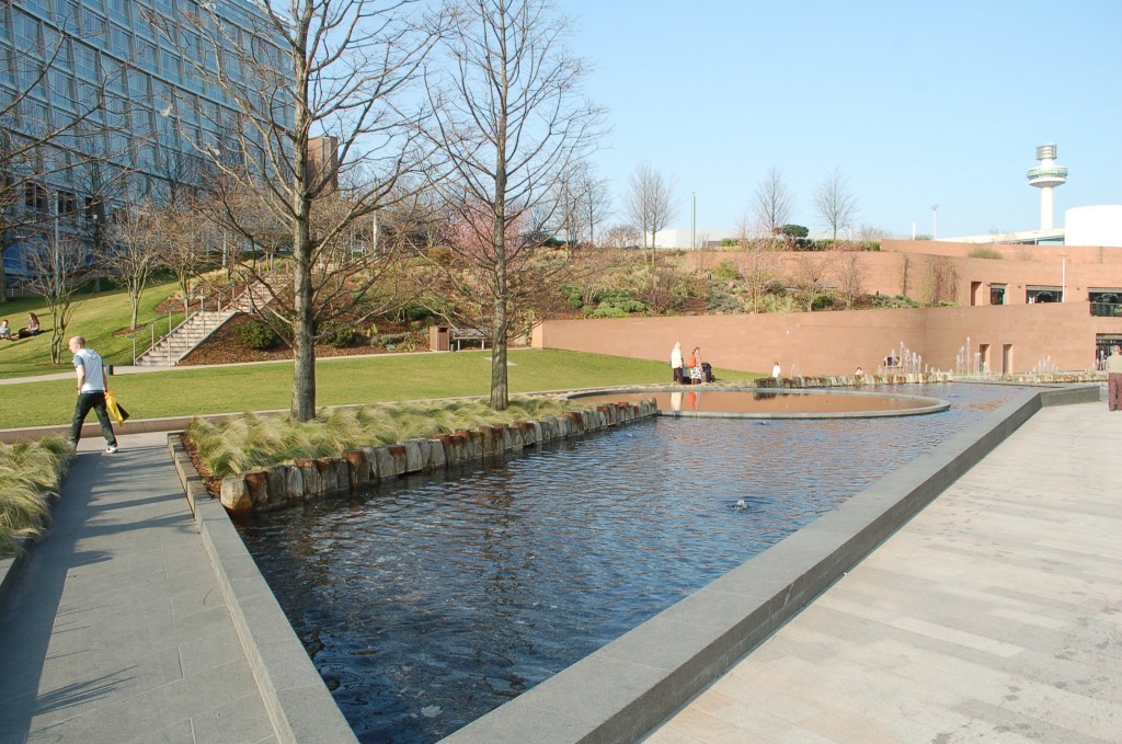 project details image