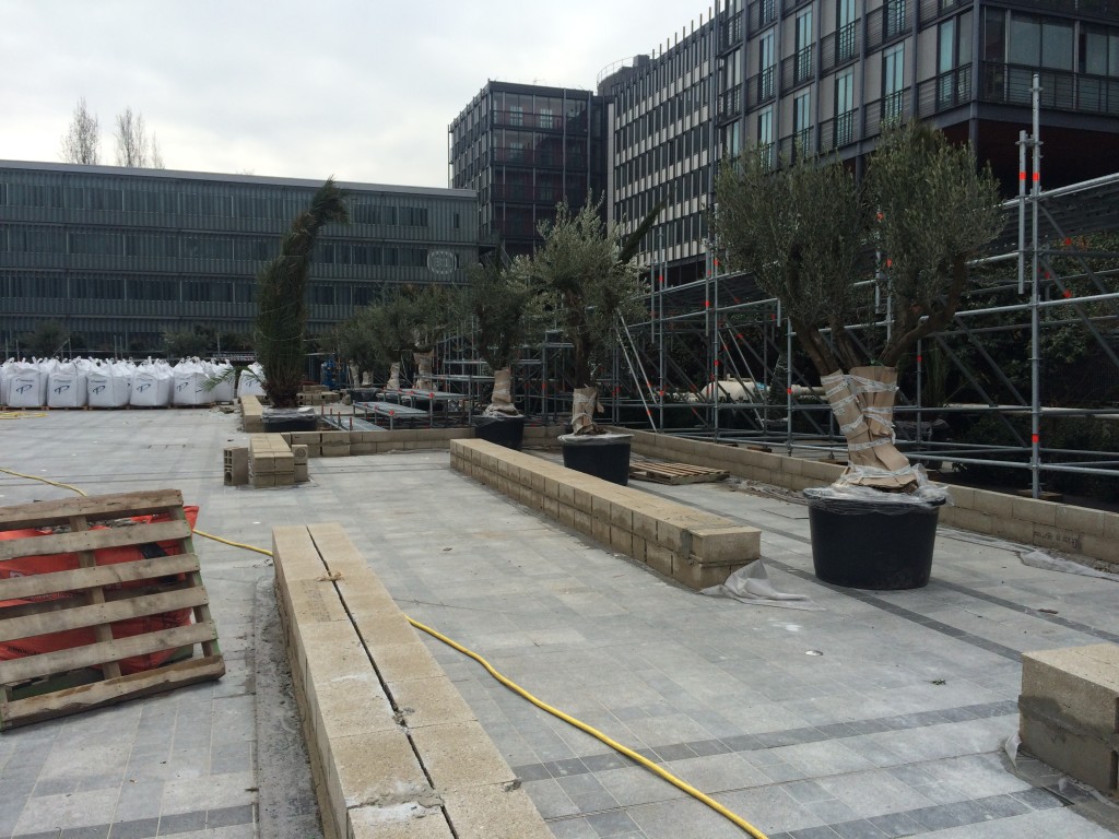 project details image