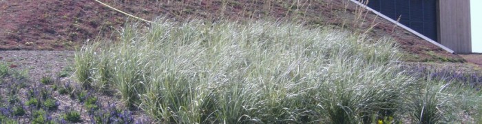 Roof Garden Emporia Malmö Shopping Centre