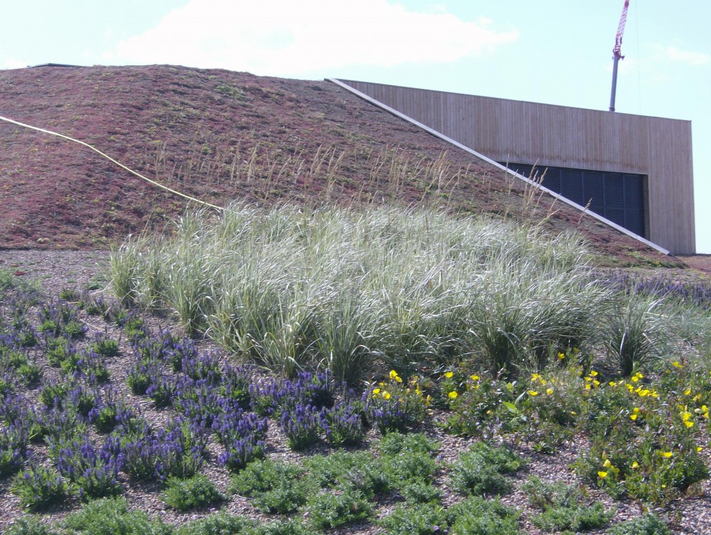 Roof Garden Emporia Malmö Shopping Centre 3